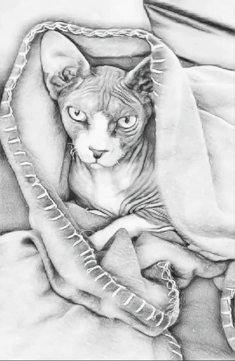 neue-website-ist-fertig