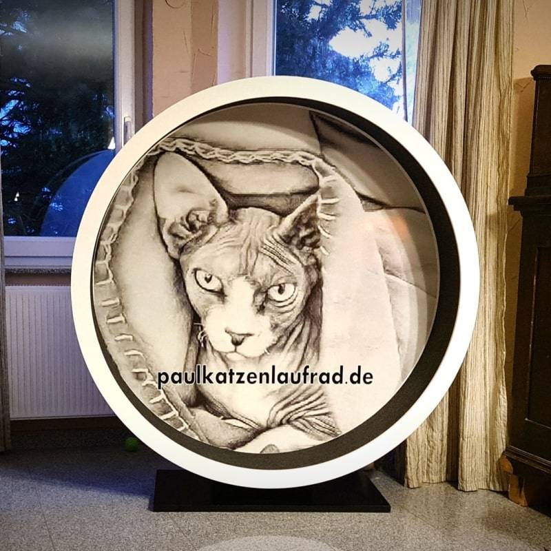 Neue Website ist fertig! :)