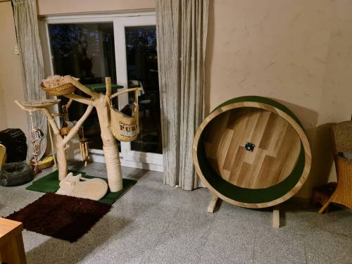 PAUL KATZENLAUFRAD - Laufräder für Katzen