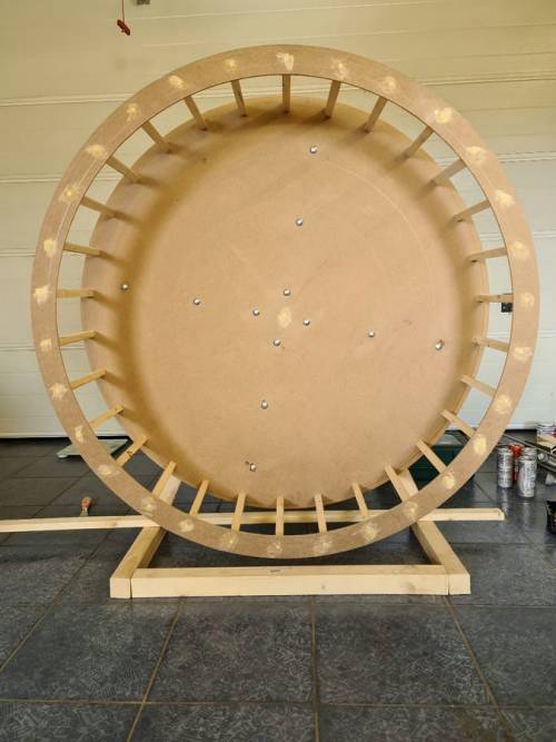 PAUL KATZENLAUFRAD - Laufräder für Katzen