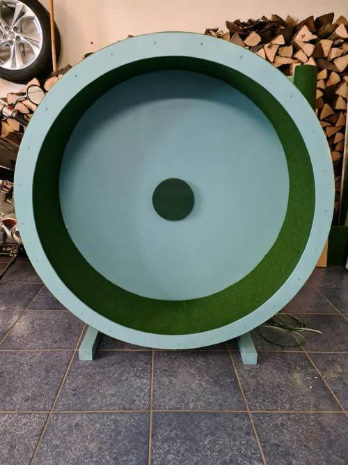 PAUL KATZENLAUFRAD - Laufräder für Katzen