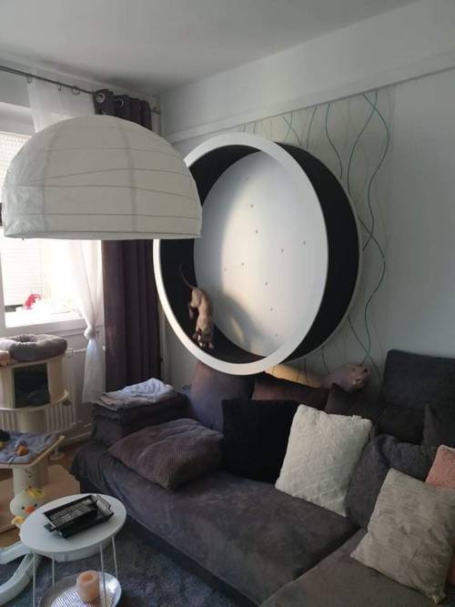 PAUL KATZENLAUFRAD - Laufräder für Katzen