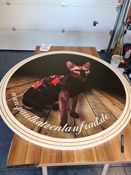 PAUL KATZENLAUFRAD - Laufräder für Katzen