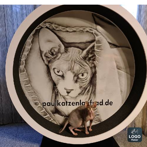 PAUL KATZENLAUFRAD - Laufräder für Katzen