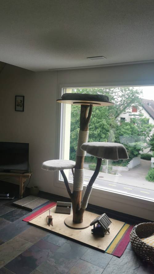 PAUL KATZENLAUFRAD - Laufräder für Katzen