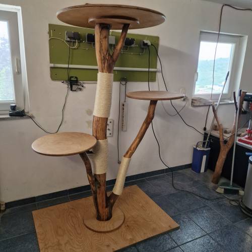 PAUL KATZENLAUFRAD - Laufräder für Katzen