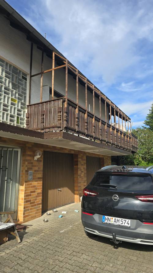 PAUL KATZENLAUFRAD - Laufräder für Katzen