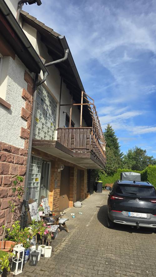 PAUL KATZENLAUFRAD - Laufräder für Katzen