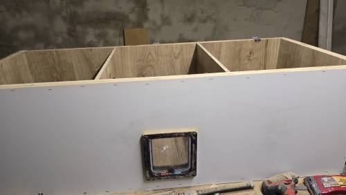 PAUL KATZENLAUFRAD - Laufräder für Katzen